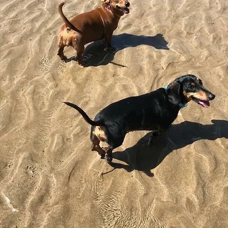The Seahorse 1 Bedroomed Dog Friendly Filey