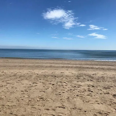 The Seahorse 1 Bedroomed Dog Friendly *